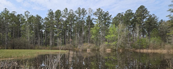Alston Photo 4