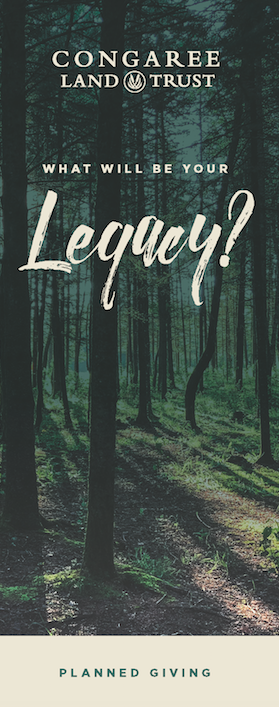 Screen Shot 2020 08 18 At 847 04 Am