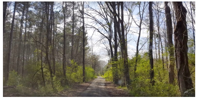 Chronical Independent Article