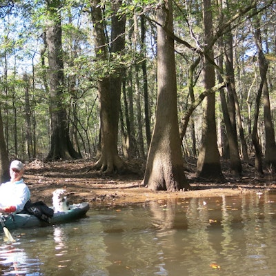 Experiencing conservation first-hand through outdoor recreation.