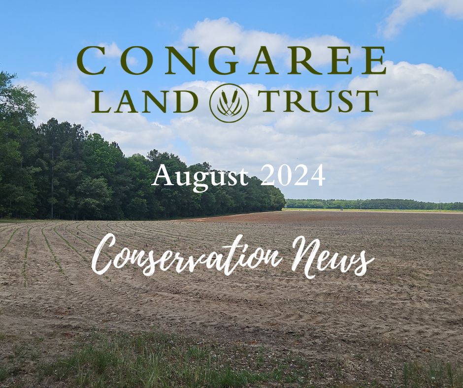 August Conservation News