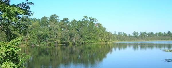 Lake on the Weston Family Property