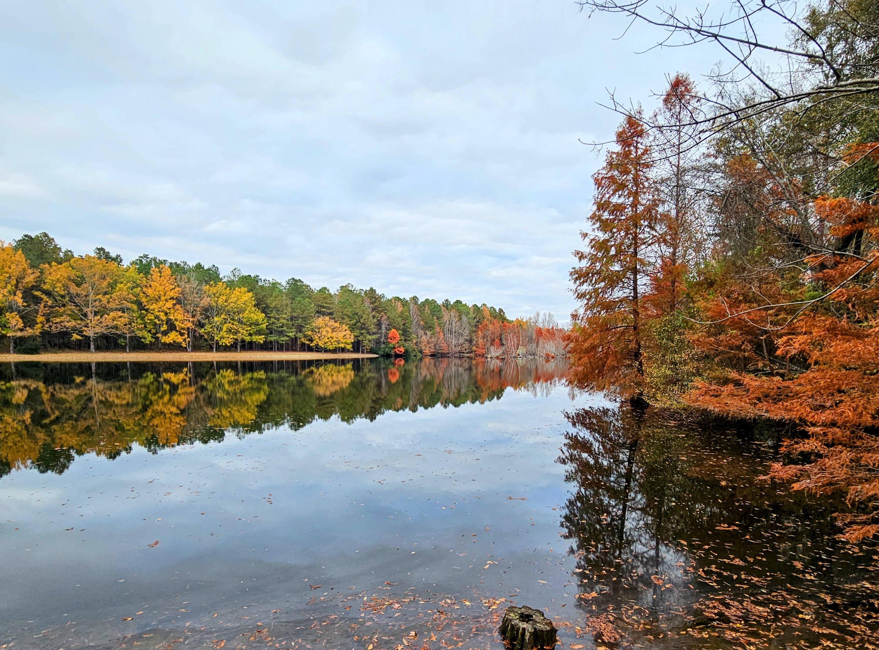 20251120 120142 Edit