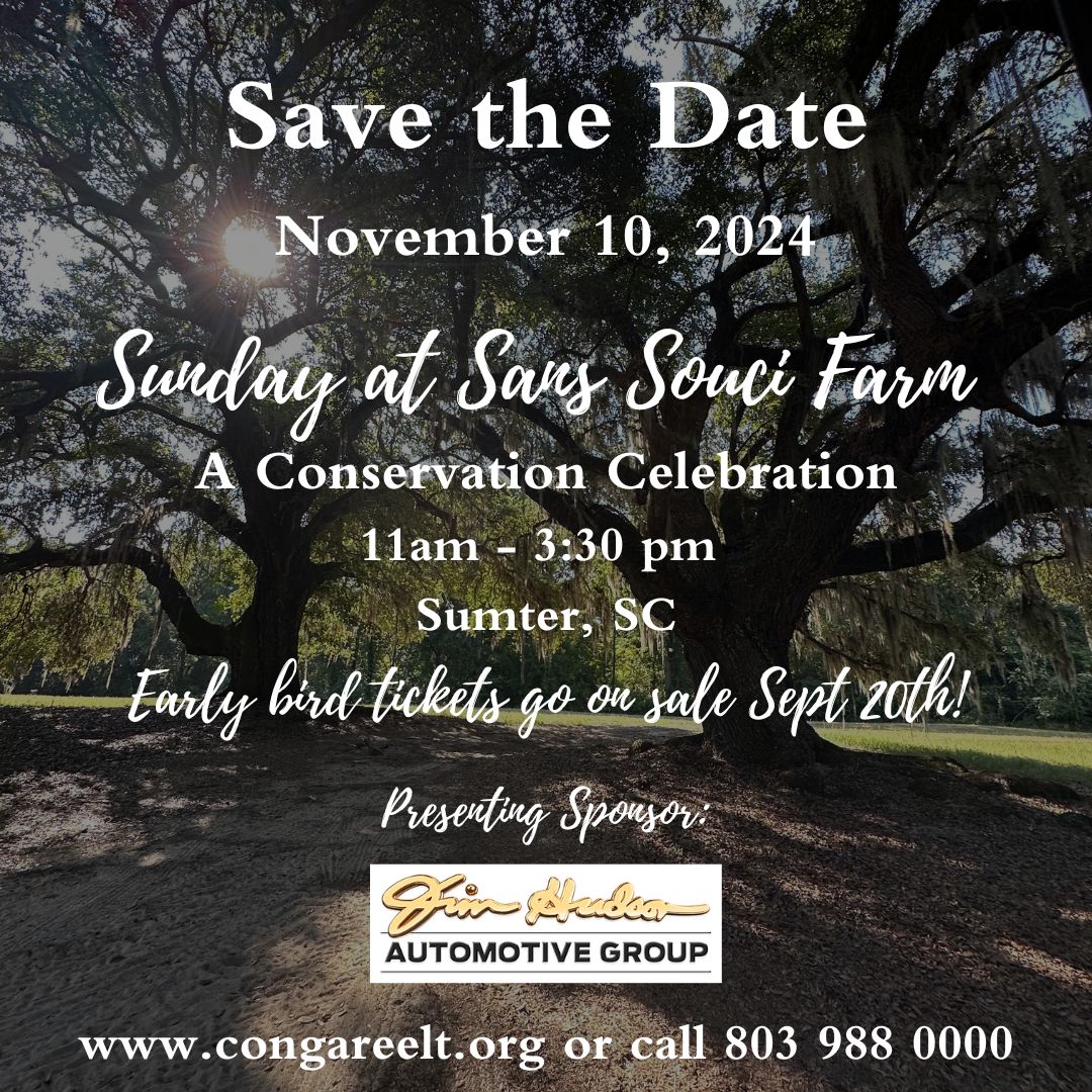 Save The Date Fall Celebration 2024 Updated